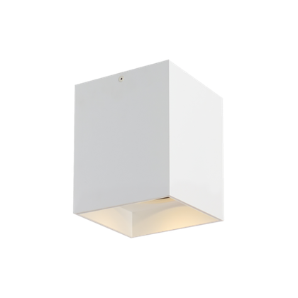 Потолочный светильник Visual Comfort Exo 6 Flush Mount