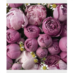 Тетрадь 48л., А5, клетка, Alingar "Нежные цветы", скрепка, мелованый картон ( стандарт), блок офсет, 5 дизайнов в пленке т/у