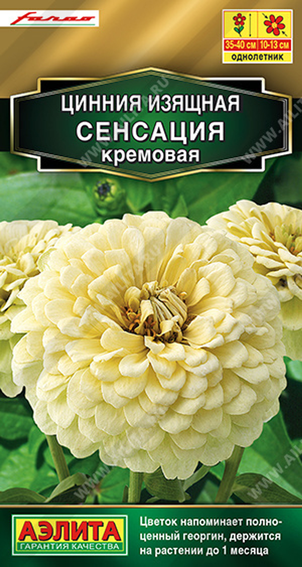 Циния Сенсация кремовая 12шт Аэлита