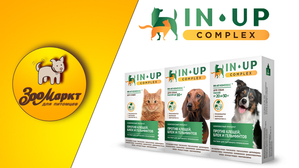 Акция Ин-Ап Акция Ин-Ап