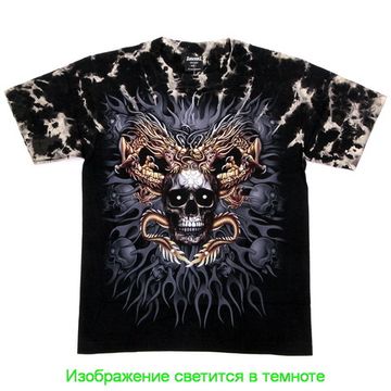 Футболка Драконы коричневые на черепе