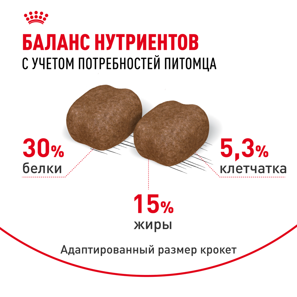 Royal Canin Dental Care Дентал Кэа Корм сухой для взрослых кошек поддержание здороья ротовой области 400г
