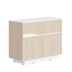 Тумба СФ-572101  1030х430х814 LINE