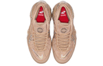 Кроссовки Nike Zoom Flightzoom Flight