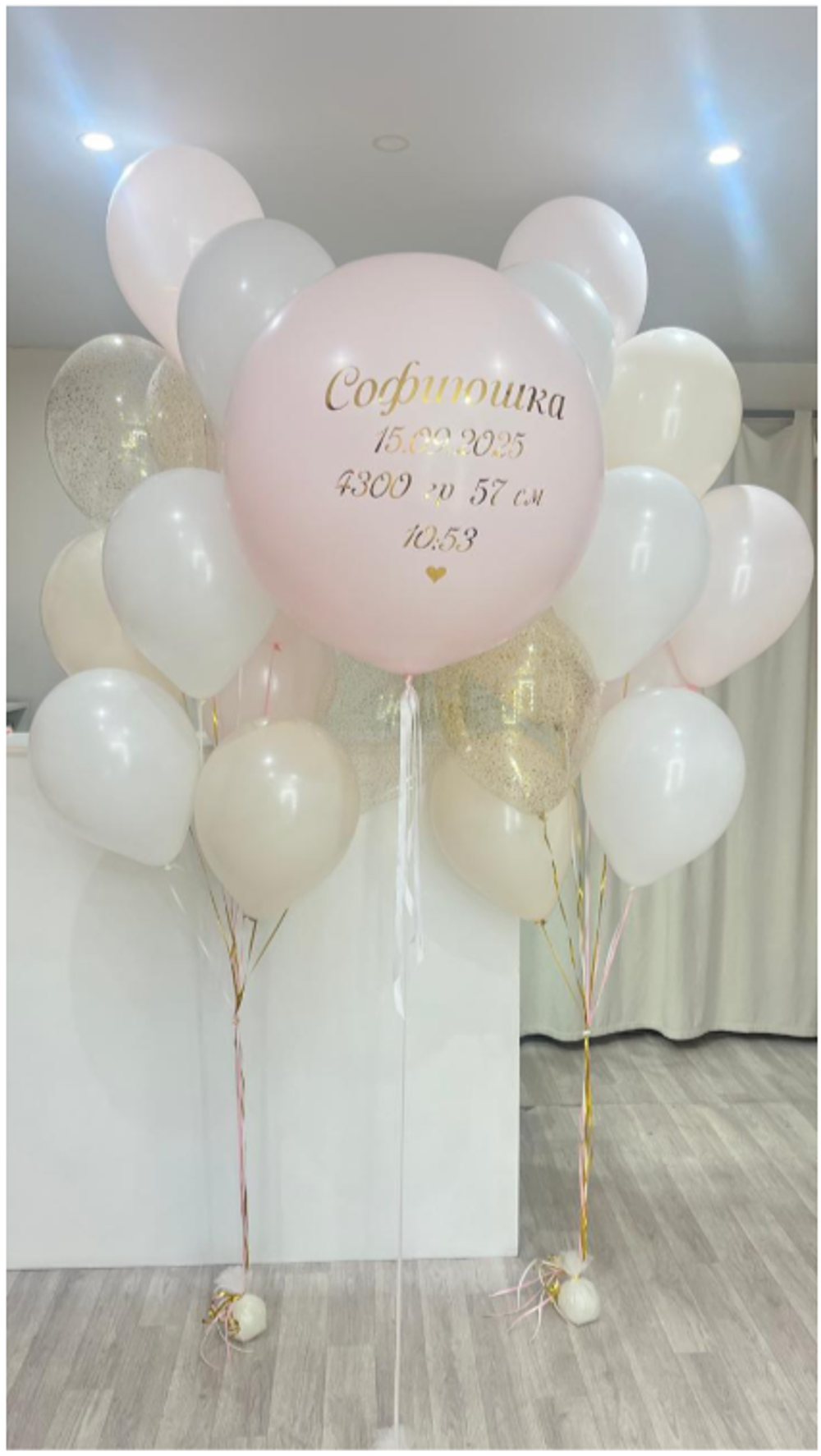 Шары на выписку №344