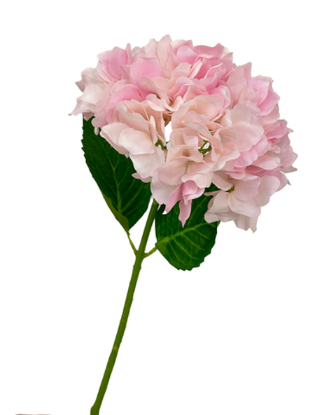 Гортензия крупнолистная на стебле (розовая) 50 см