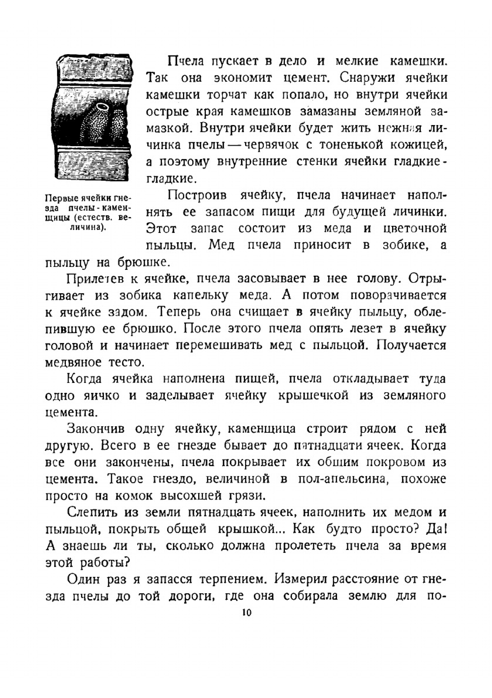 Шестиногие. О насекомых | Фабр Жан Анри