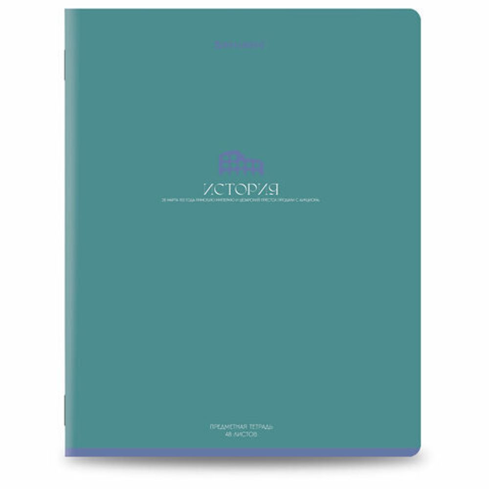 Тетради предметные, КОМПЛЕКТ 13 ПРЕДМЕТОВ, 48 л., матовая ламинация, BRAUBERG "MONOCOLOR", 405175