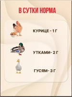Здравур Несушка Кормовая добавка для кур 1500гр *2шт