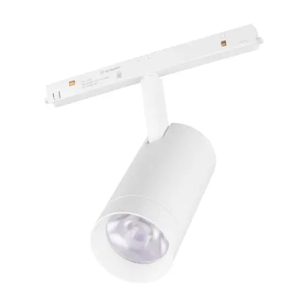 Светильник MAG-ORIENT-SPOT-R65-20W Day4000 (WH, 24 deg, 48V) (Arlight, IP20 Металл, 5 лет) 037122