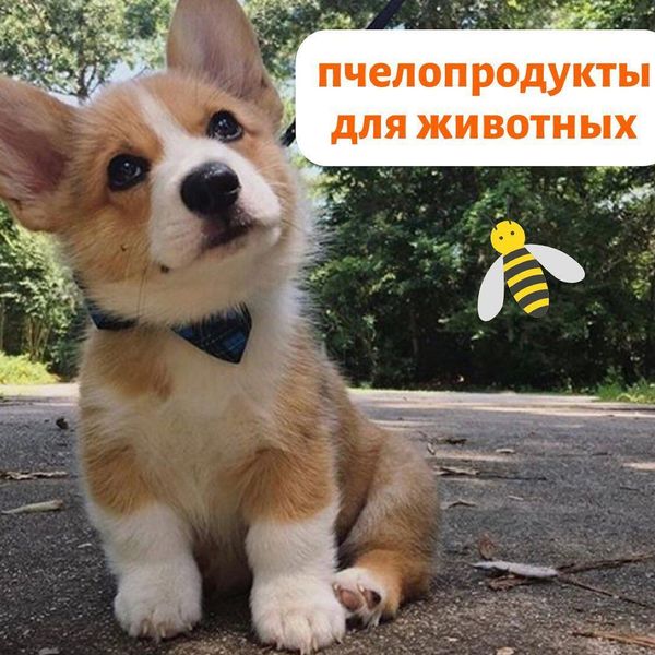 ГОМОГЕНАТ ДЛЯ ЖИВОТНЫХ