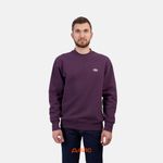  Толстовка мужская Dickies Summerdale Sweatshirt артикул:DK0A4Y6QJ561 - купить в магазине Дайс