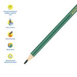 Карандаши цветные Мульти-Пульти "Енот в Испании", 36цв., трехгран., заточен., картон, европодвес