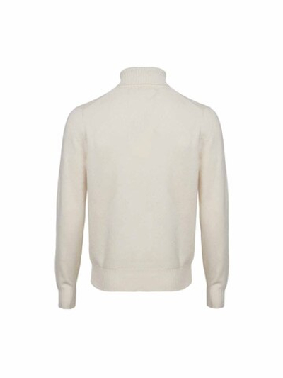 Водолазка Doriani