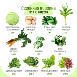 Сезонная корзина