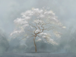 Коллекция Vento