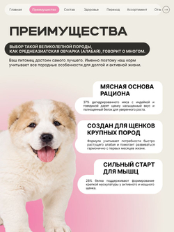Корм сухой для щенков породы Среднеазиатская овчарка (Алабай), с говядиной, 12 кг, QUATTRO