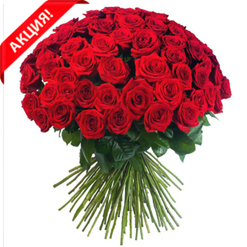 Купить Букет 101 красная роза Red Naomi