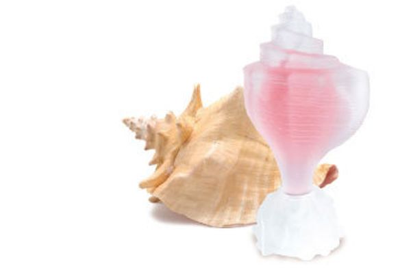 Seajewels Pink Conch