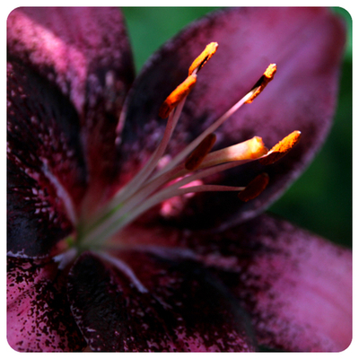 Практический Интенсив «Мастерство Регенерации и Изобилия». Часть 26