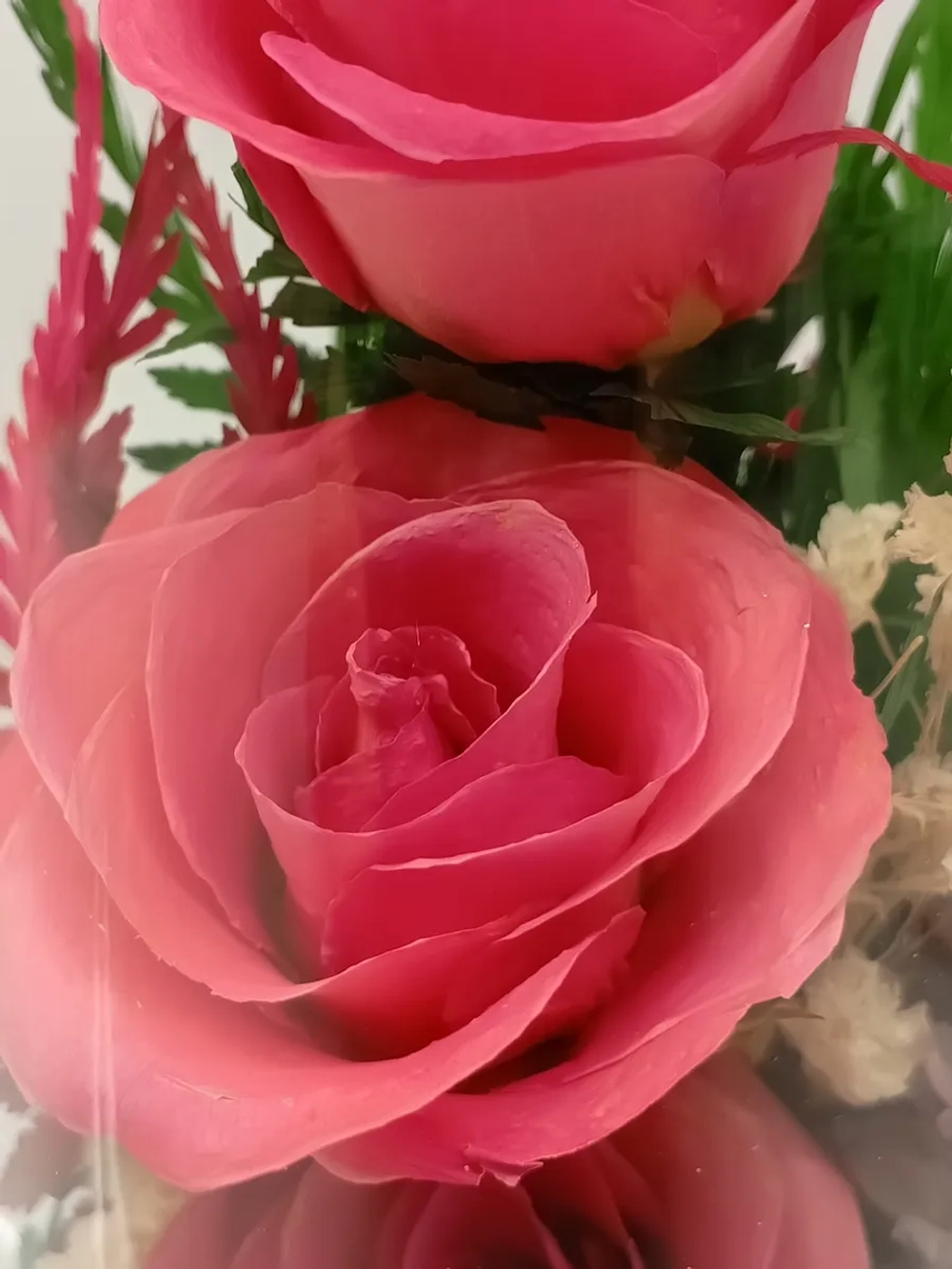 натуральные кустовые розы в стекле, вакуум*