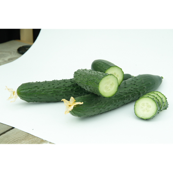 Тайгерс F1 семена огурца партенокарпического (Гавриш) – фото 3