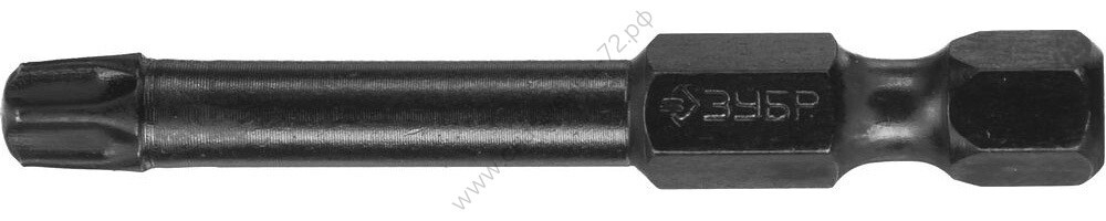 ЗУБР TX 30, 50 мм, 2 шт., Ударные биты (26025-30-50-S2)