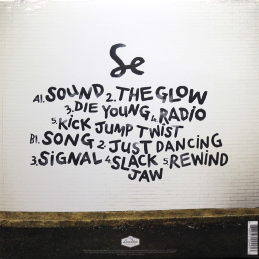 Sylvan Esso / What Now (LP)