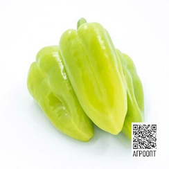 Топгир F1 семена перца (Rijk Zwaan / Райк Цваан)