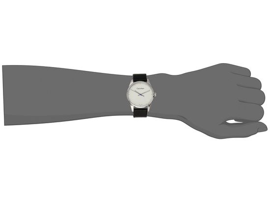 Мужские швейцарские часы Calvin Klein K8S211C6