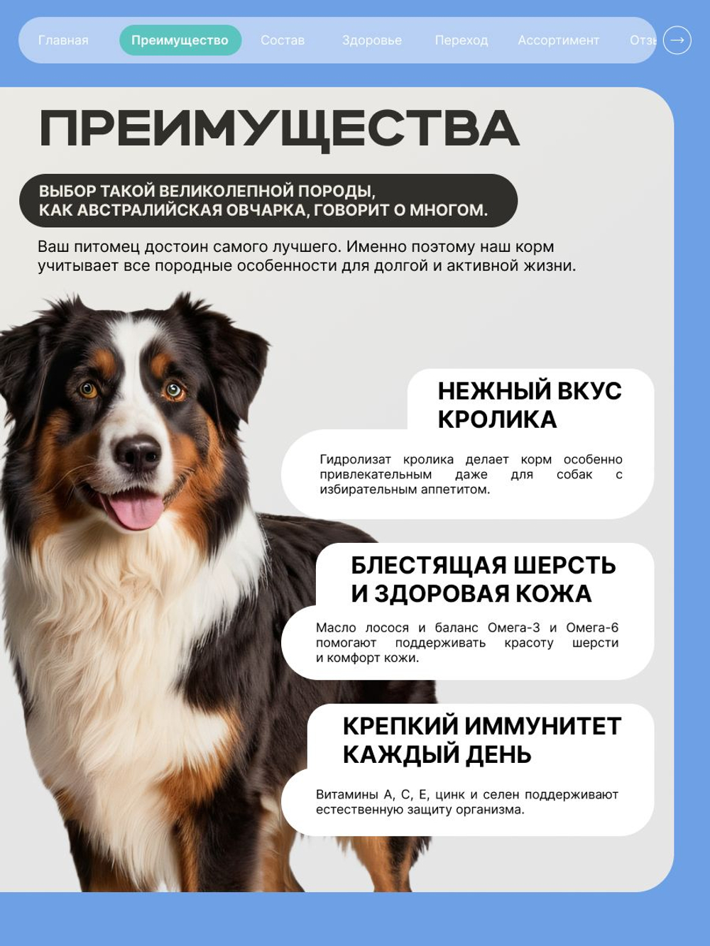 Корм для взрослых собак породы Австралийская овчарка, с кроликом, 12 кг, QUATTRO