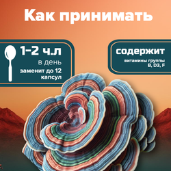 Траметес мицелий 100 грамм (Суперфуд, Trametes versicolor, Turkey Tail)