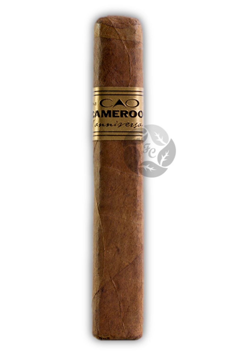 CAO Cameroon Robusto