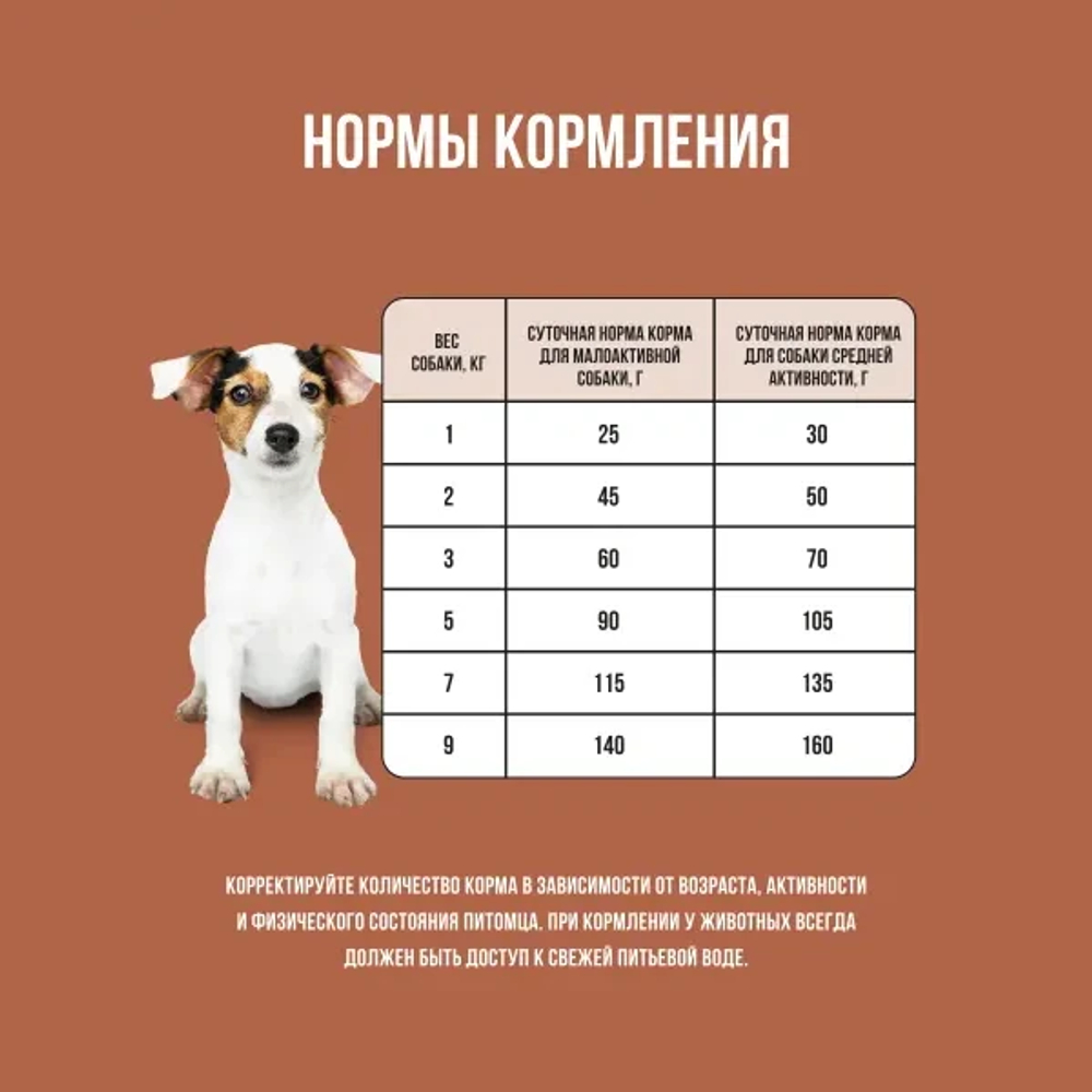 Сухой корм для собак мелких пород с чувствительным пищеварением или склонных к аллергии с ягненком, индейкой, рисом и тыквой BOWL WOW 5кг