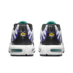 Мужские кроссовки Nike Air Max Plus 'Grape' DM0032‑100
