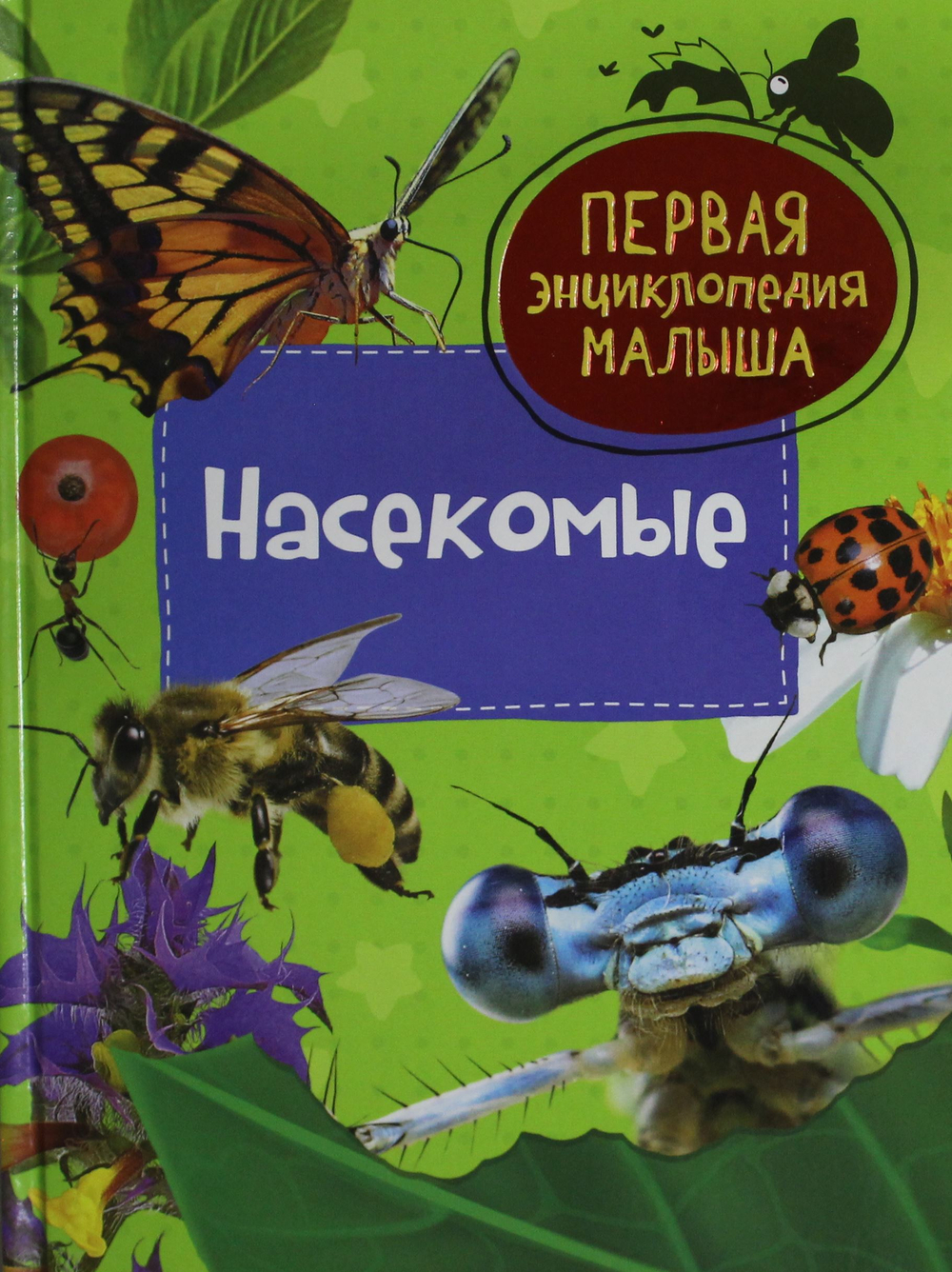 Насекомые. Первая энциклопедия малыша