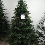 Елка с гирляндой встроенной «Престиж» (Литая хвоя) 230 см / 2,3 м