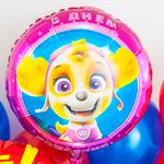 Шар (18"/46 см) Круг, Щенячий Патруль, С Днем Рождения!, Розовый