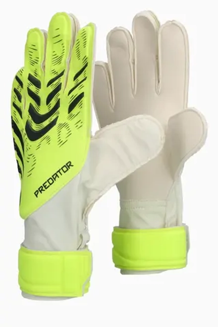 Вратарские перчатки adidas Predator Training - зеленый