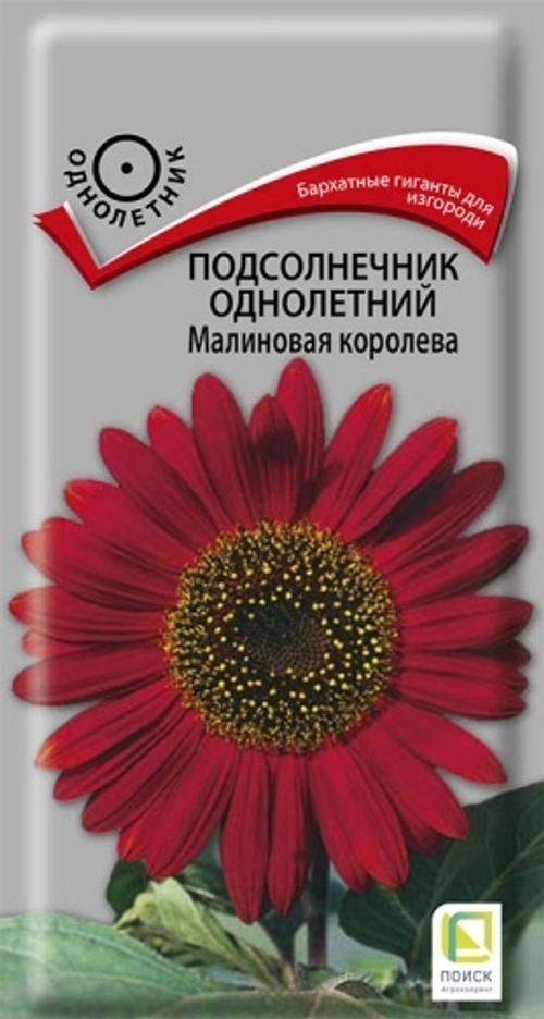 Подсолнечник декор. Малиновая королева 0,5гр Поиск