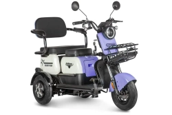 Электротрицикл Gelbert Vega 48V/60V 600Вт