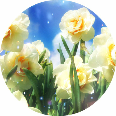 Вебинар-Интенсив 
"Эмоциональная Алхимия". Часть 5