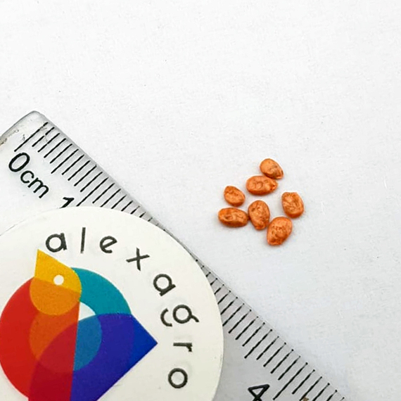 ГРИФОН F1 семена томата Nunhems цена – фото 8