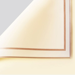 ЛИСТ матовый с каймой 58*58/20шт №1