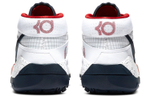 Кроссовки Nike Kd 13 Usa
