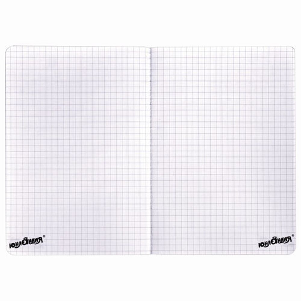 Блокнот МАЛЫЙ ФОРМАТ (103х148 мм) А6, 32 л., сшивка, тиснение, клетка, ЮНЛАНДИЯ, Мопс, 662704