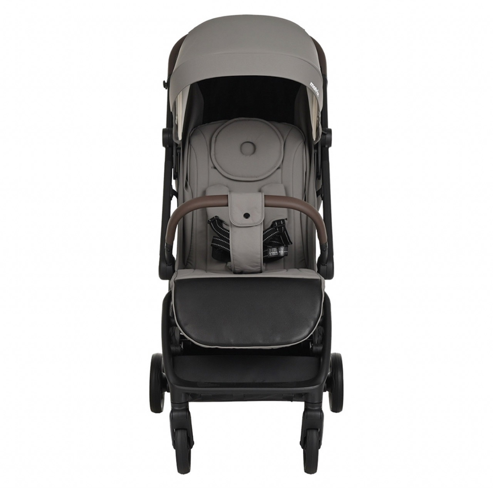 Коляска прогулочная Pituso Matrix PU Graphite
