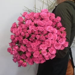 Букет из 21 кустовых роз Розовый фламинго