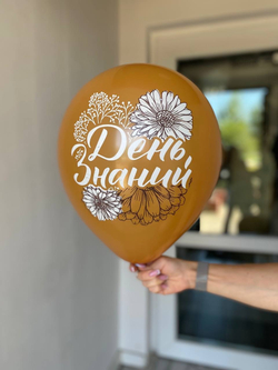 Воздушные шары на 1 сентября №1167 День знаний