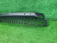 Решетка переднего бампера Lexus NX 1 (2014-2017)